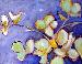 Jade Plant_edited