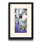 Marian's Pomegranates
